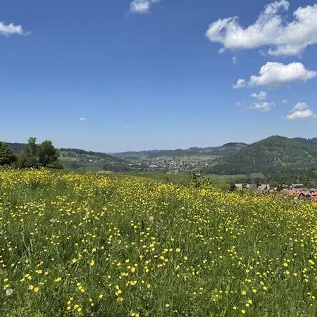 Bergzeit, Allgaeublick *