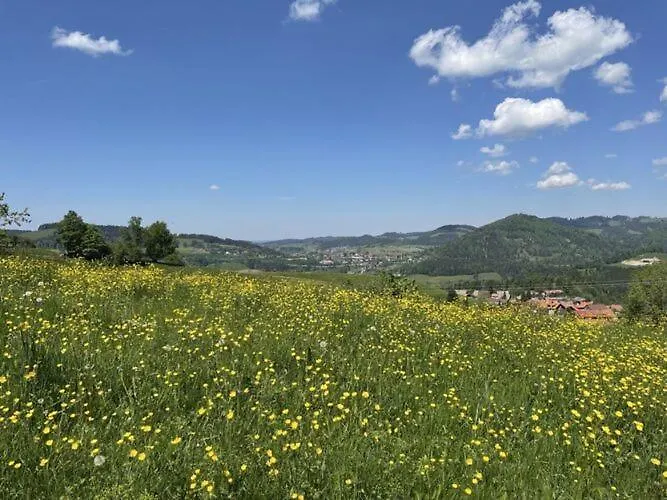 Bergzeit, Allgaeublick *